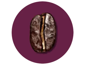 A dark roast coffee bean
