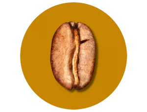 A blonde roasted coffee bean
