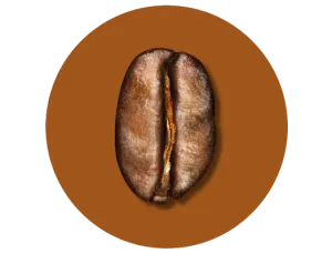 A medium roast coffee bean
