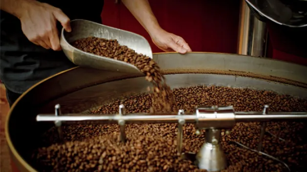 A photo of coffee beans being roasted, a roaster checking some in a scoop.